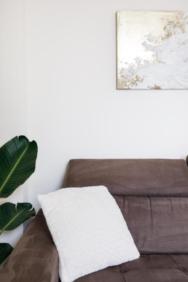 Bright And Elegant Renovated Two Rooms - Near Suquet Cannes Exterior foto